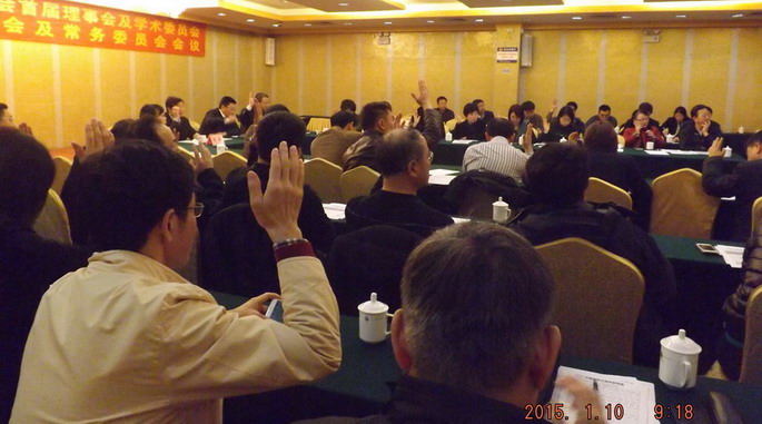 第一次常务理事会及常务委员会会议表决议程